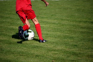 九游电脑版-职业俱乐部推动退役球员培训转型教练岗位，职业选手退役当教练